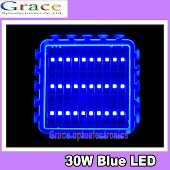 30W Watt Blue Didelės Galios LED Šviesos Lempos 455nm 465nm 500LM 600LM Akvariumas 